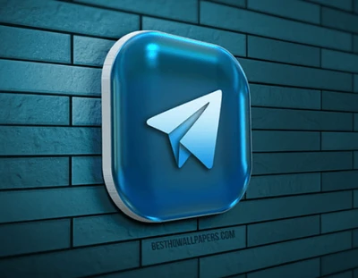 Telegram followers